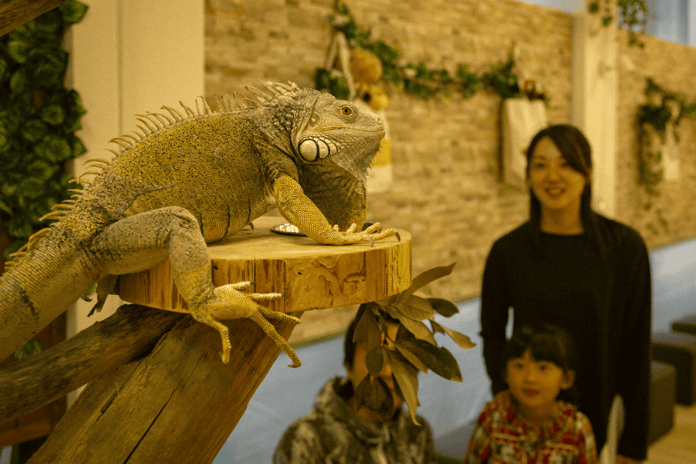 「アニタッチ MARK IS静岡」一日満喫！ショッピングをしながら動物とふれあう